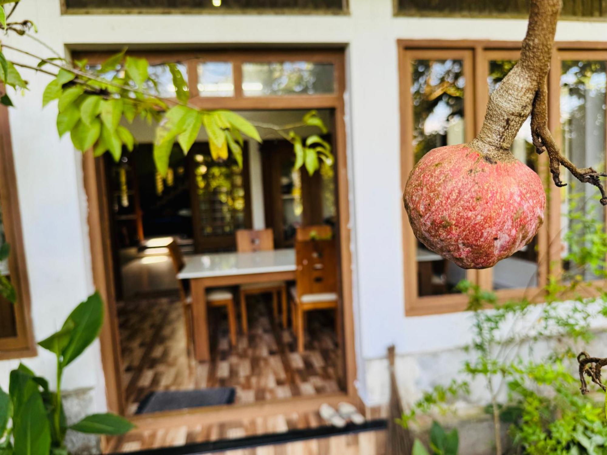 Thottungal Homestay Nedumbassery Exterior foto